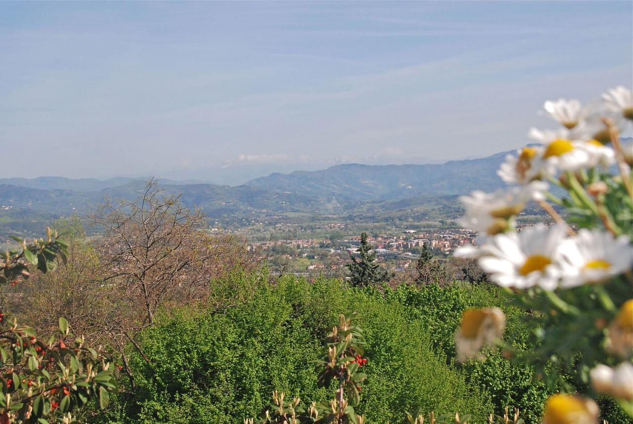 Montefiore By Salogi Villas Lucca Exterior photo